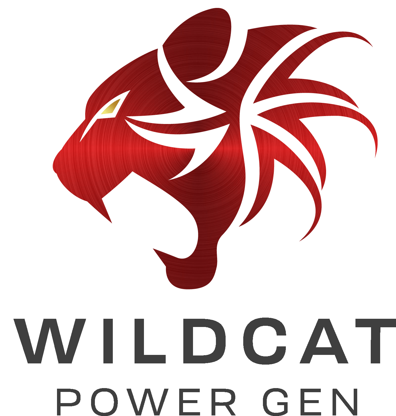 Wildcat Freedom 15kW Natural Gas or Propane Generator - AllProGenerators