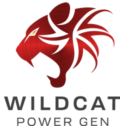 Wildcat Freedom 15kW Natural Gas or Propane Generator - AllProGenerators