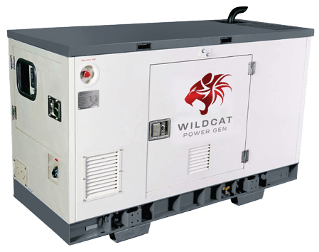 Wildcat Freedom 15kW Natural Gas or Propane Generator - AllProGenerators