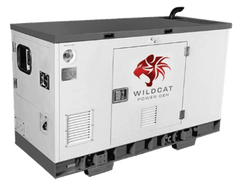 Wildcat Renegade 15kW Propane or Natural Gas Generator 3 - Phase - AllProGenerators