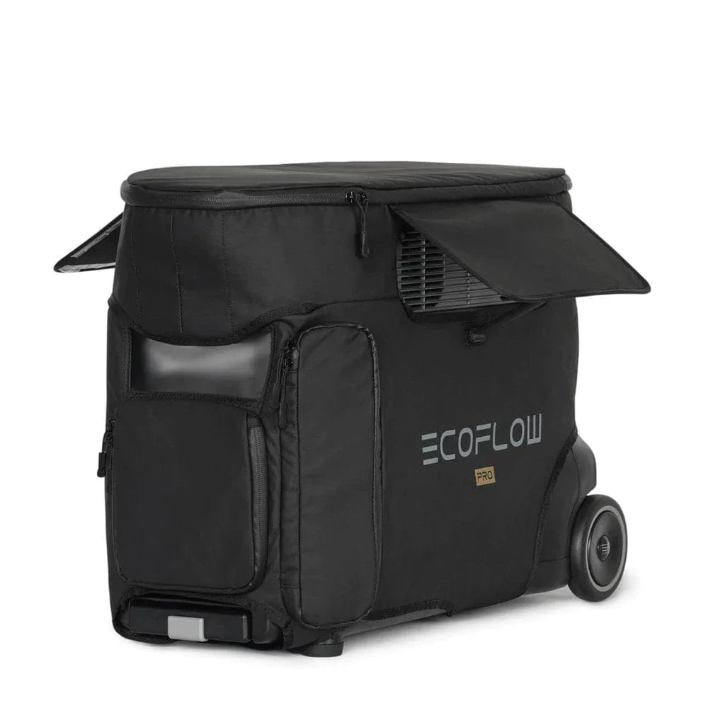 Ecoflow Delta Pro With 160 Watt Panel and Delta Pro Bag - AllProGenerators
