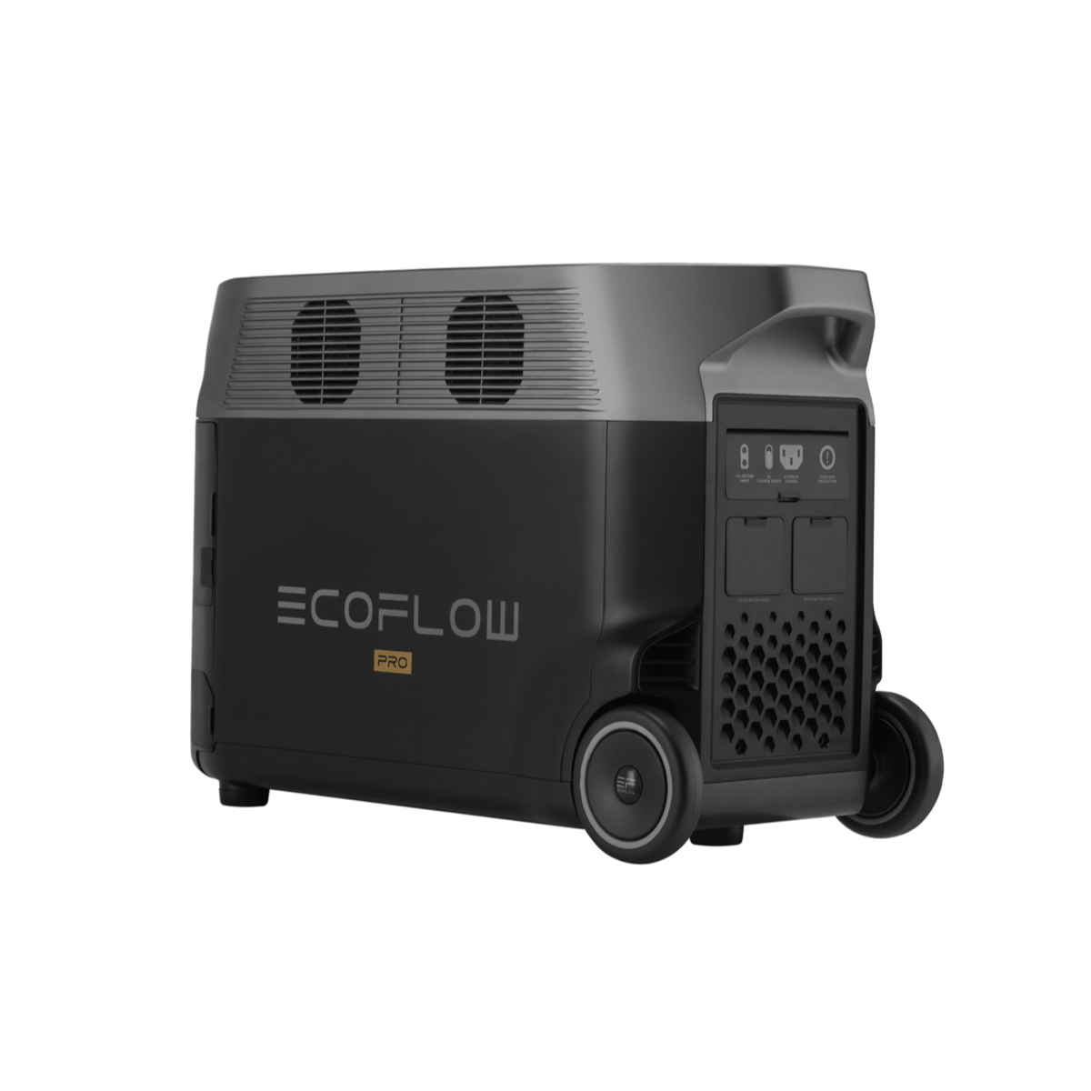 Ecoflow Delta Pro With 160 Watt Panel and Delta Pro Bag - AllProGenerators
