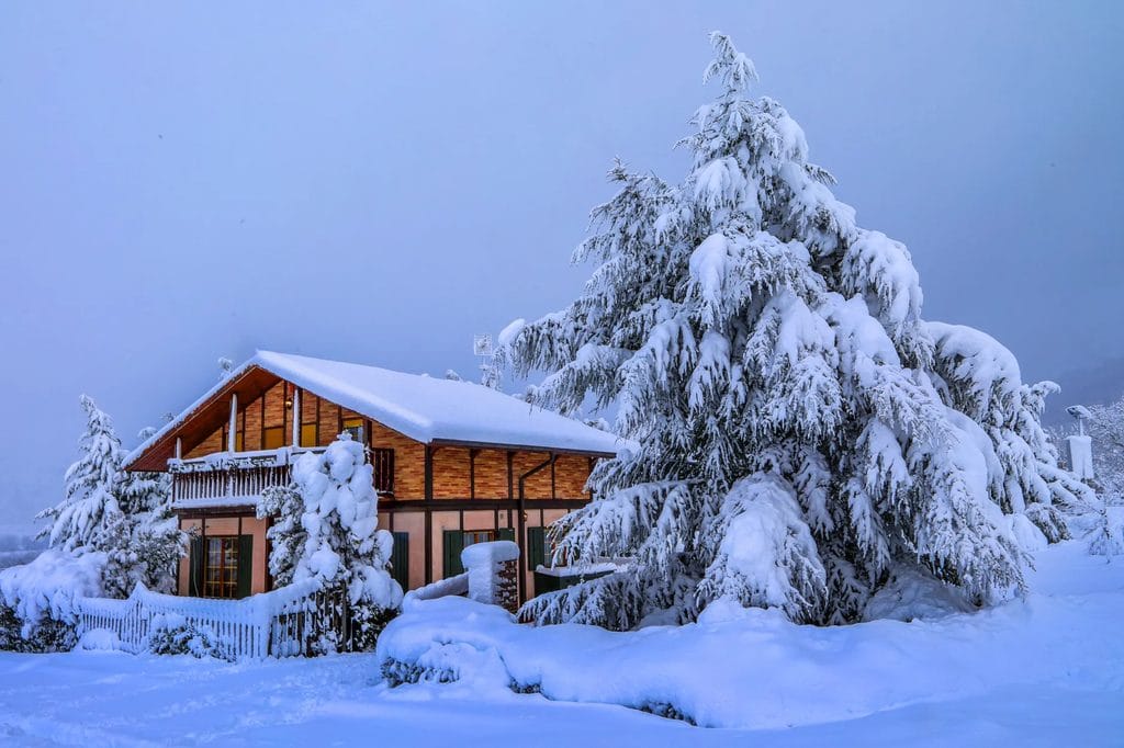 Best Propane Generators: Top Picks for Home Backup