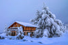 Best Propane Generators: Top Picks for Home Backup