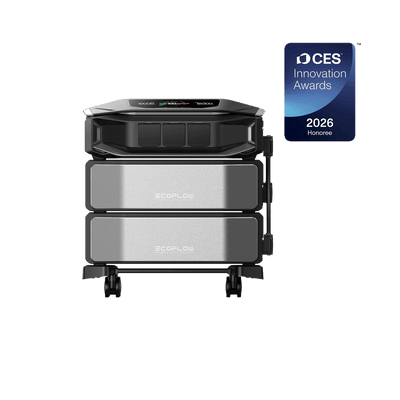 EcoFlow Pro