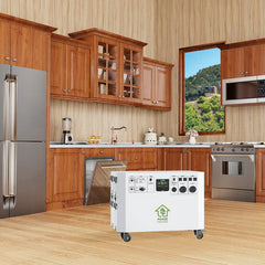 REFURBISHED - NATURE’S GENERATOR POWERHOUSE