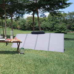 EcoFlow DELTA Pro Ultra X 18.4kWh + Two 400W Solar Panels - AllProGenerators