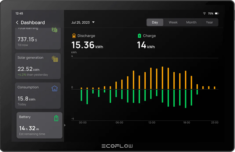 Ecoflow Powerinsight