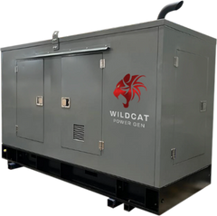 wildcat 30KW