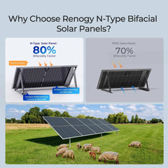 Renogy 590W N-Type Bifacial Solar Panels – 2-Pack or 4-Pack - AllProGenerators