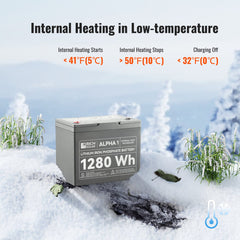 Rich Solar ALPHA 1 12V 100Ah LiFePO4 Battery - AllProGenerators