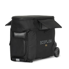 Ecoflow Delta Pro With 160 Watt Panel and Delta Pro Bag