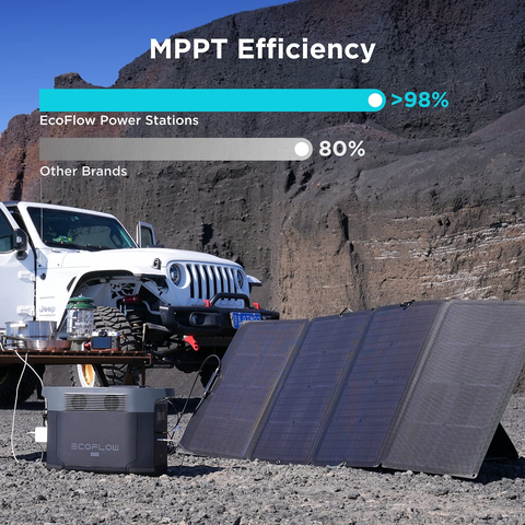 Image of EcoFlow Delta Max Portable Power Station with 160 Watt Solar Panel