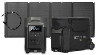 Ecoflow Delta Pro With 160 Watt Panel and Delta Pro Bag - AllProGenerators