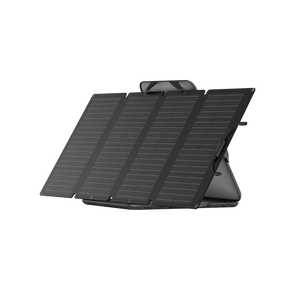 Ecoflow Delta Pro With 160 Watt Panel and Delta Pro Bag