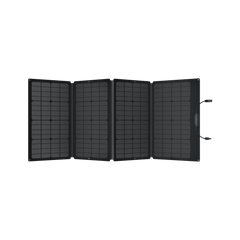 Ecoflow Delta Pro With 160 Watt Panel and Delta Pro Bag