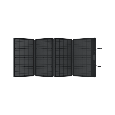 Image of Ecoflow Delta Pro With 160 Watt Panel and Delta Pro Bag