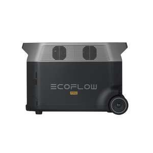 Ecoflow Delta Pro With 160 Watt Panel and Delta Pro Bag
